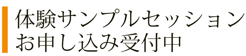 体験サンプルセッション