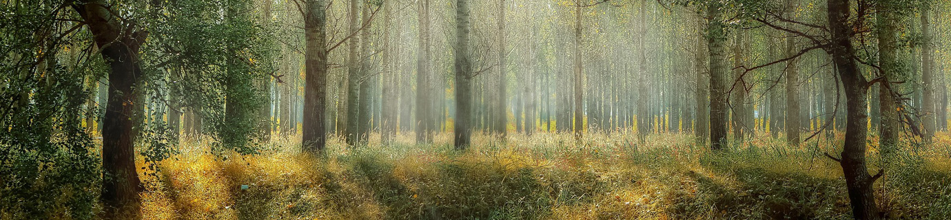 VOICE／お客様の声